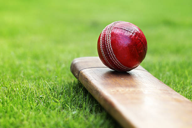 Dramatic Last-Ball Victory Seals T20 Series Win